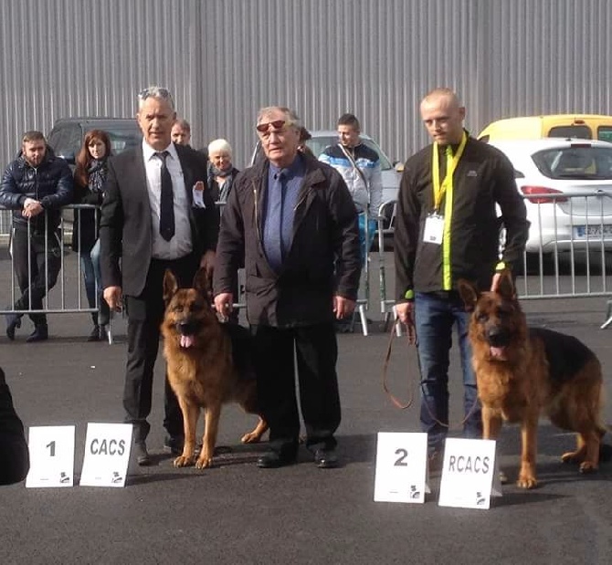 De La Vallée Des Sentinelles - Vesoul 13 mars 2016
