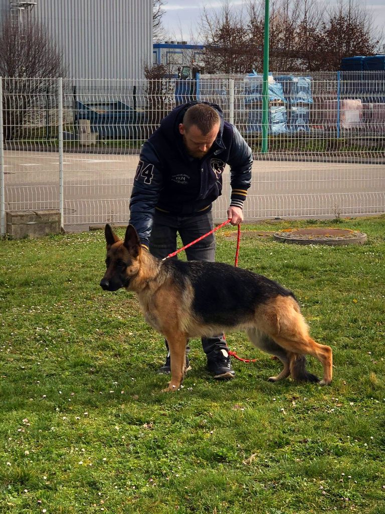 De La Vallée Des Sentinelles - Orana