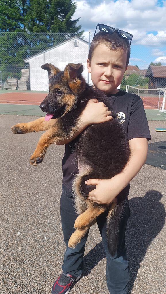 Les bébés en balade