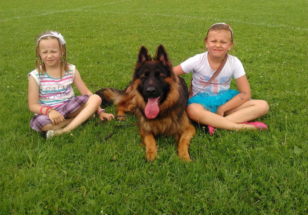 Entrainement avec Nikita et ses maîtres