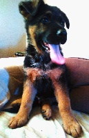 Marlo
