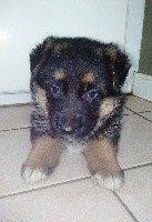 Nicky